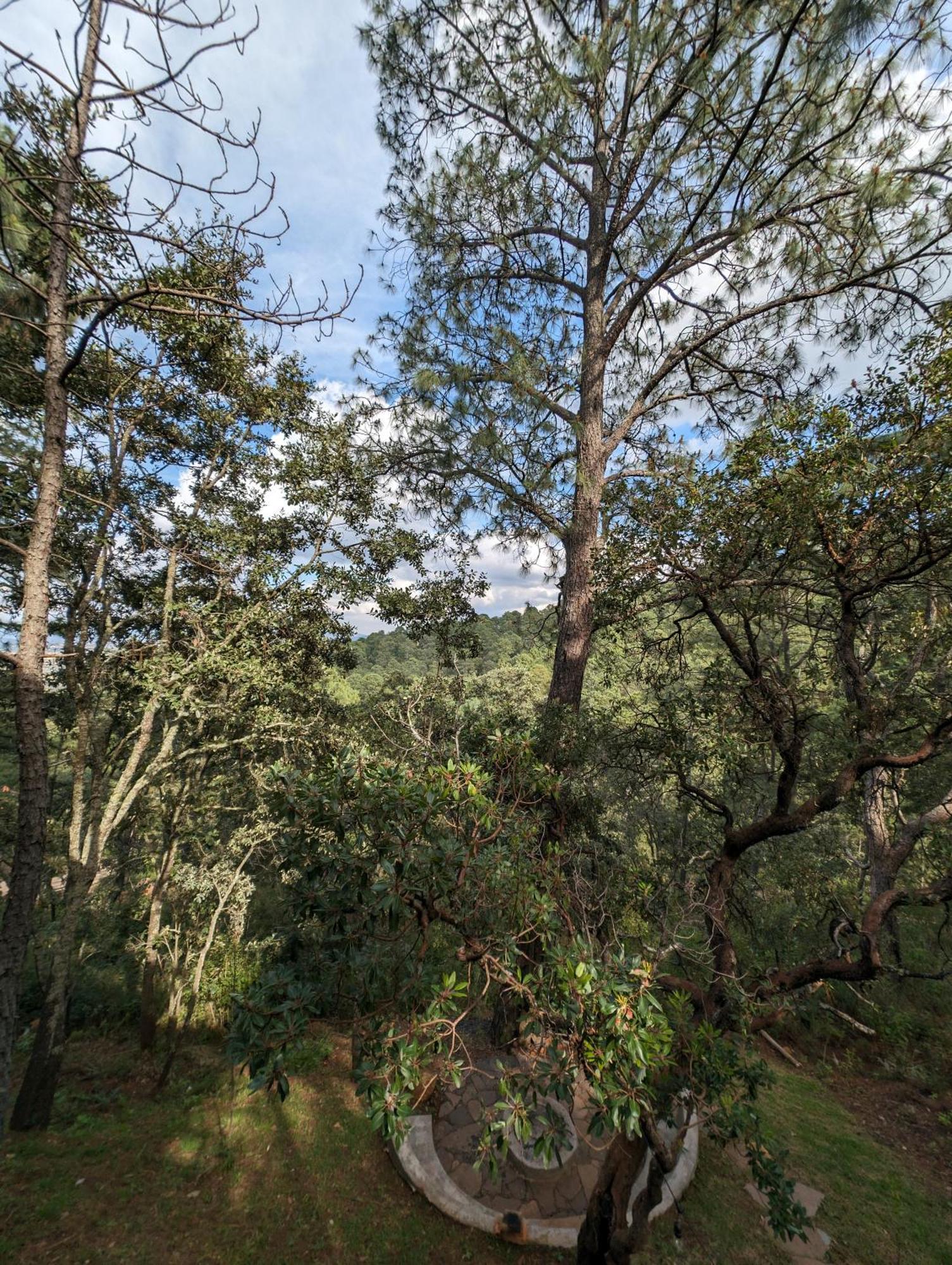 Cabana La Finca 马萨米特拉 外观 照片